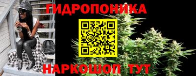 бошки Малгобек