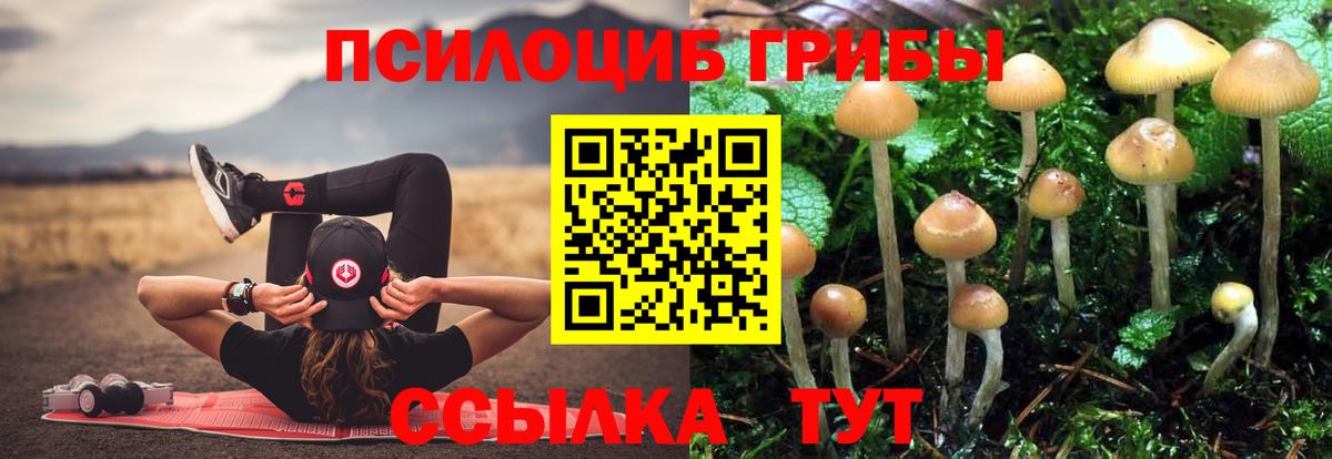 Дзержинский  Псилоцибиновые грибы мухоморы  Галлюциногенные грибы Cubensis  Вход с VPN 