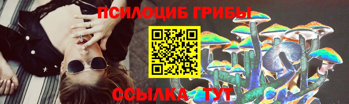 ГАШ Дзержинский